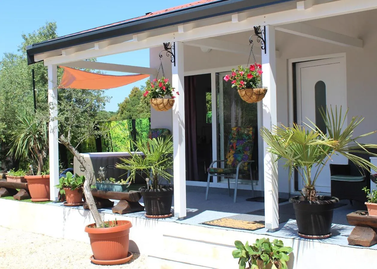 Oliven Garden Villa Rovinj Croatia