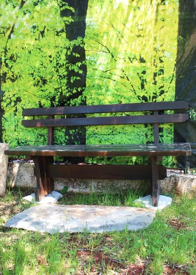 Oliven Garden Villa Rovinj Croatia