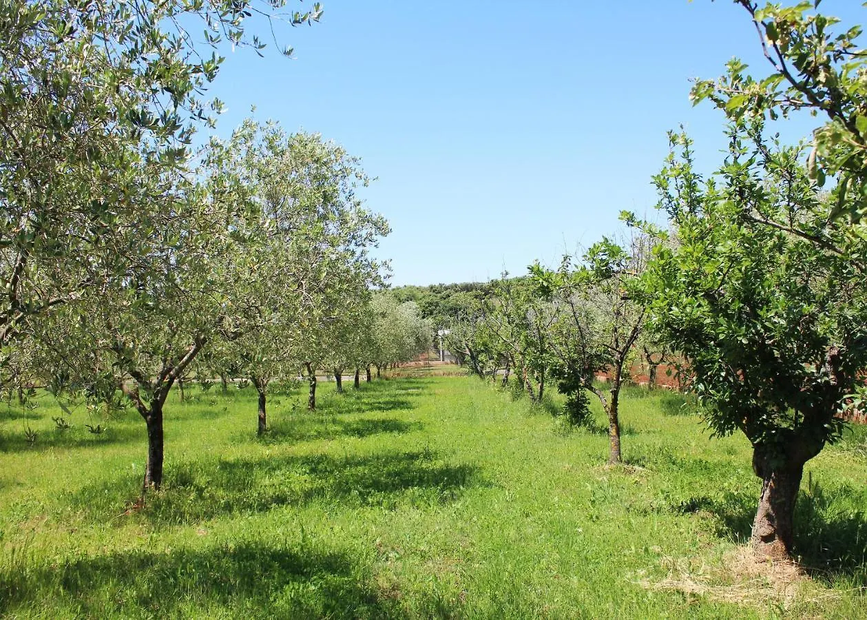 Oliven Garden Villa Rovinj