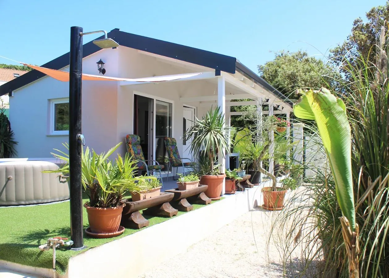 Oliven Garden Villa Rovinj 0*,