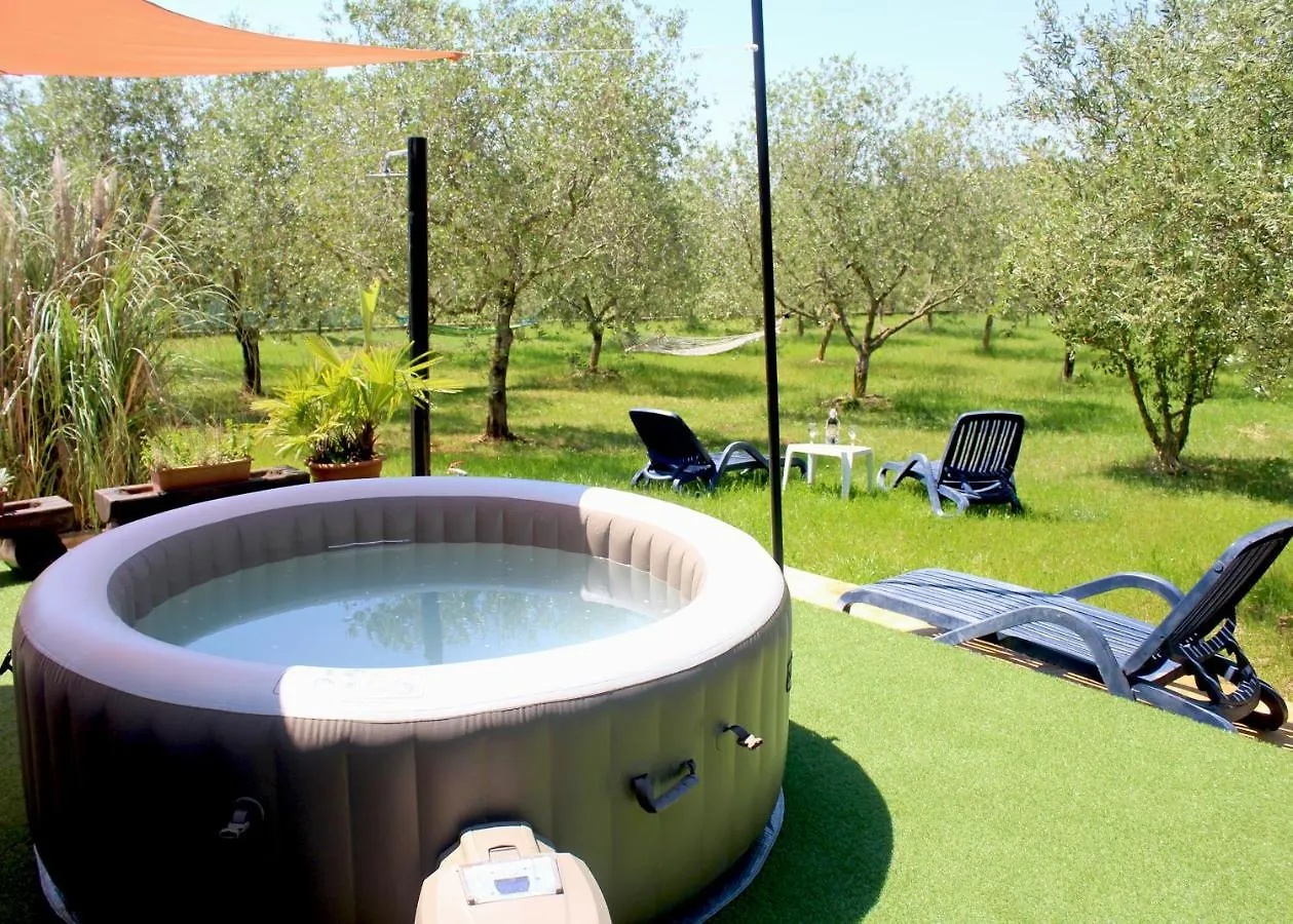 Oliven Garden Villa Rovinj Croatia