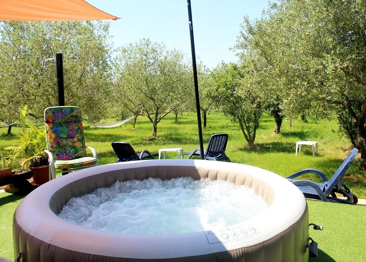 Oliven Garden Villa Rovinj Croatia
