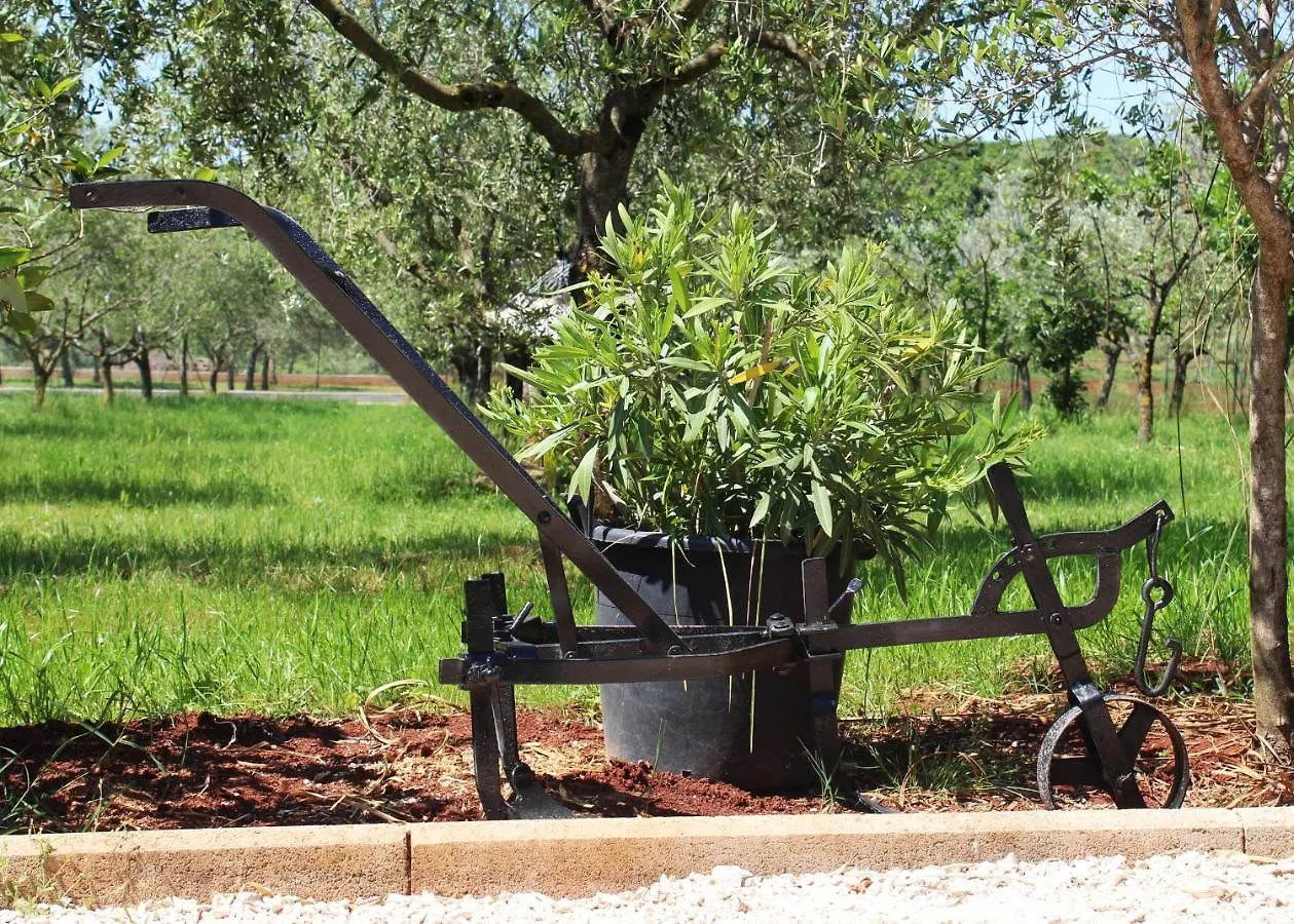 Oliven Garden Villa Rovinj